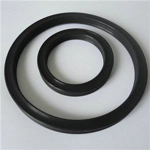 ¿Cuáles son las características de envejecimiento de los Quad Seals?